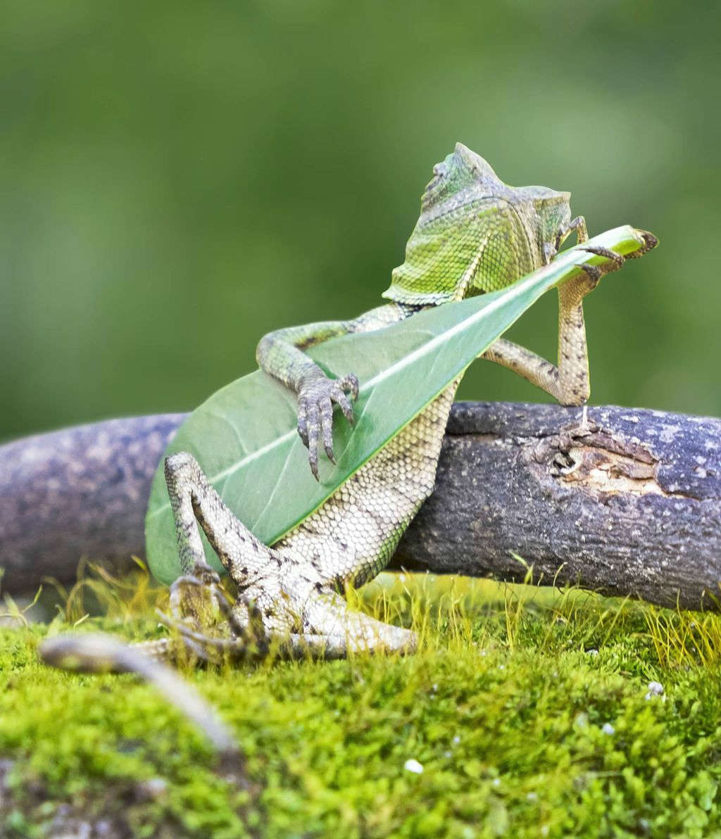 Picture 6 of Rare moments show that life has more strange things than novels