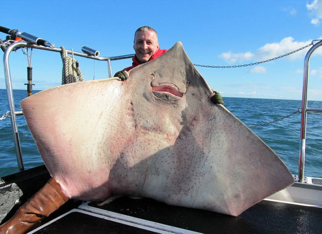 Picture 12 of Rare 'mutant' animals