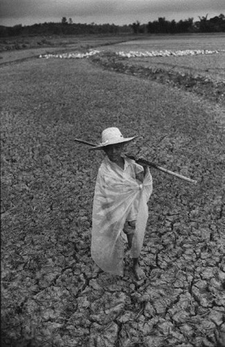 Picture 11 of Rare picture of life in rural Vietnam in 1993 (Part 1)