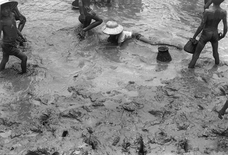 Picture 9 of Rare picture of life in rural Vietnam in 1993 (Part 1)