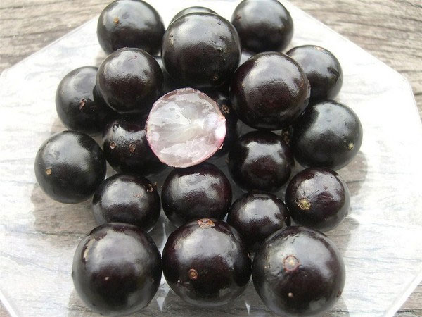 Picture 4 of 'Rare rare summer fruits'