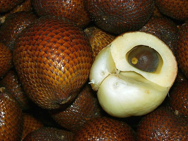 Picture 9 of 'Rare rare summer fruits'