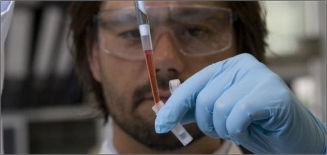 Picture 1 of Rats born from artificial eggs