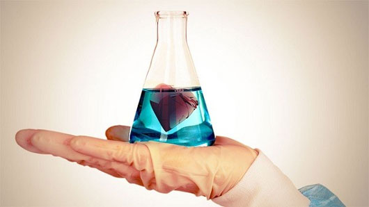 Picture 5 of Reaction after parting in a scientific perspective