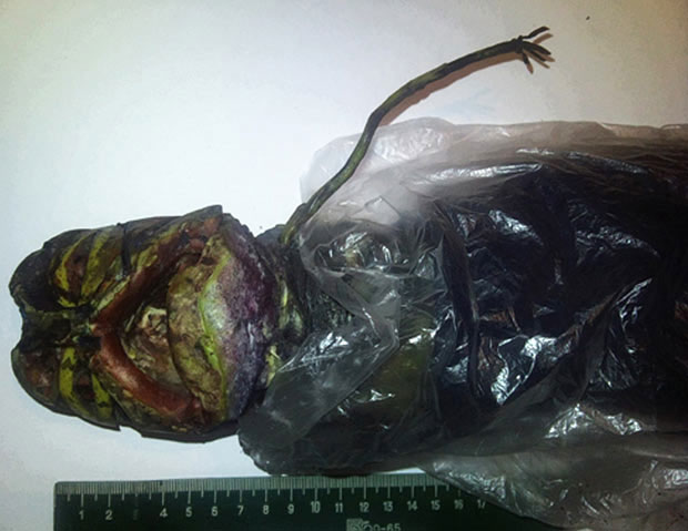 Picture 1 of Real - corrupted aliens