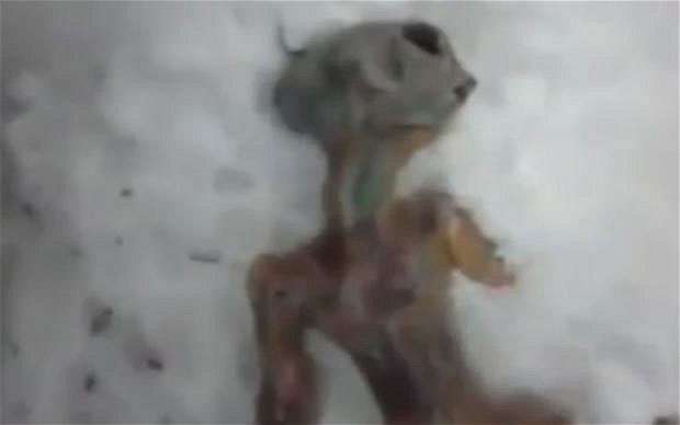 Picture 2 of Real - corrupted aliens