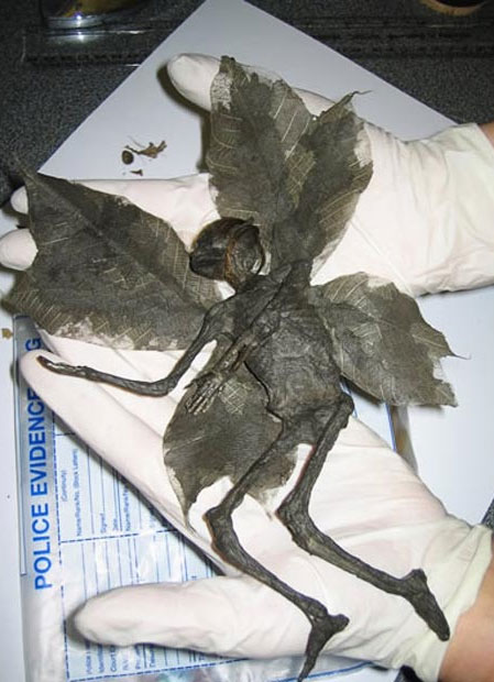 Picture 7 of Real - corrupted aliens
