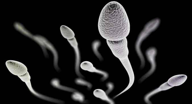 Picture 1 of Real damage effects of sperm cancer