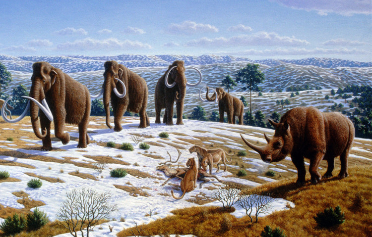 Picture 1 of Real damage to the end of the world: Human annihilation (Part 2)