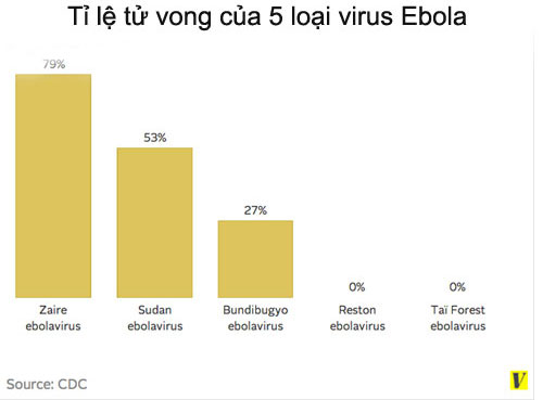 Picture 2 of Reasons why Ebola virus is more dangerous than HIV virus