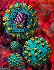 Picture 1 of Reconstructed virus from human genome.