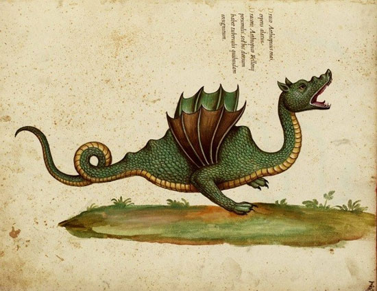 Picture 4 of Records of dragons 'real' in history