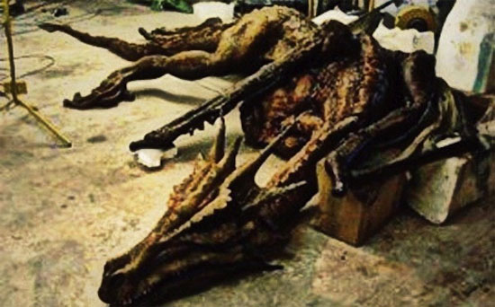Picture 8 of Records of dragons 'real' in history