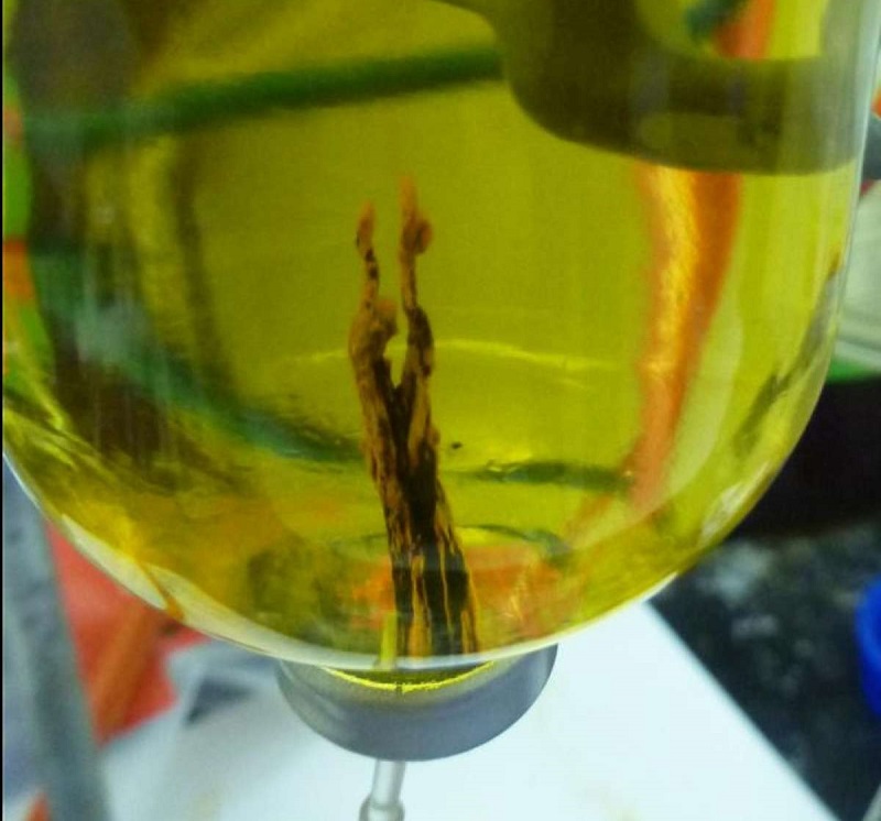 Picture 1 of Recreate conditions that are supposed to give birth to life on earth