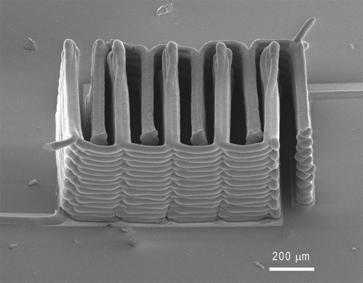 Picture 5 of Recreate parts of the body with 3D printing technology