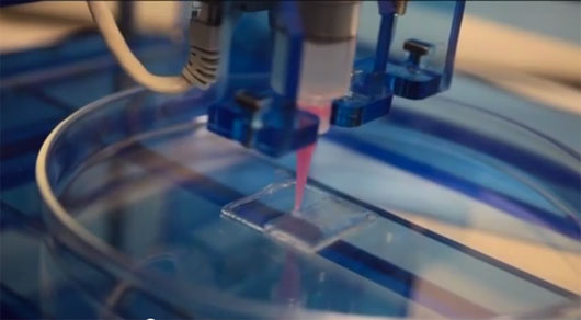 Picture 6 of Recreate parts of the body with 3D printing technology