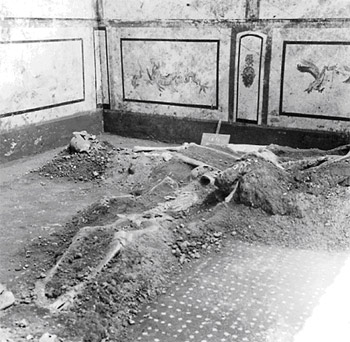 Picture 4 of Recreate Pompeii historical disaster