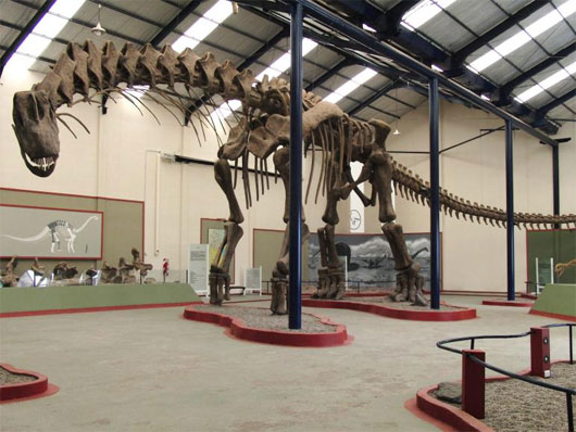 Picture 1 of Recreate the dinosaur's walk after 94 million years