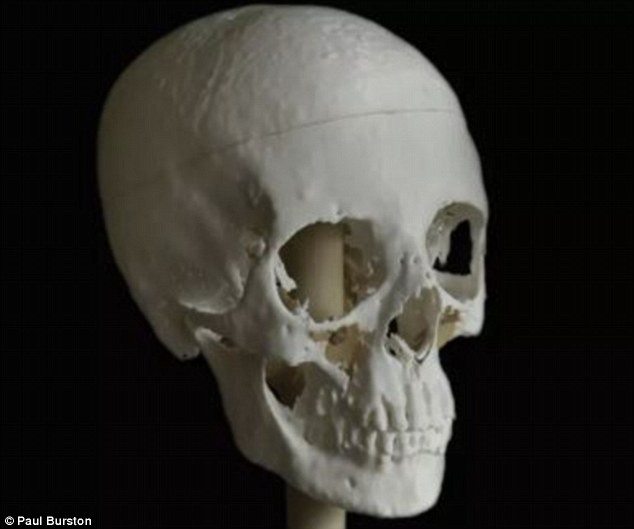 Picture 3 of Recreate the face of an Egyptian woman who lived 1500 years ago