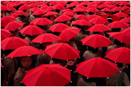 Picture 10 of Red in life