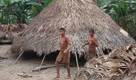 Picture 1 of Rediscovering the tribe is said to be extinct in Peru