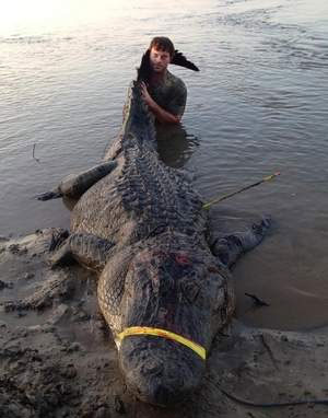 Picture 2 of Re-front the giant crocodile, an incredible big one
