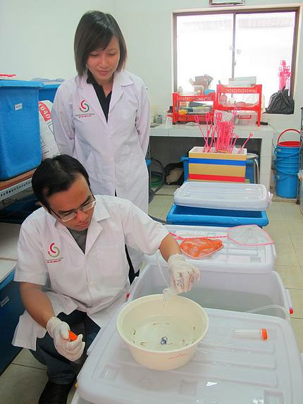 Picture 1 of Registering to patent vaccines for fish