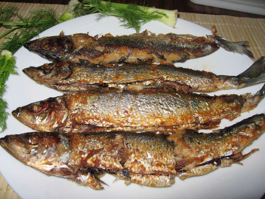 Picture 1 of Regularly eating fried fish increases the risk of stroke