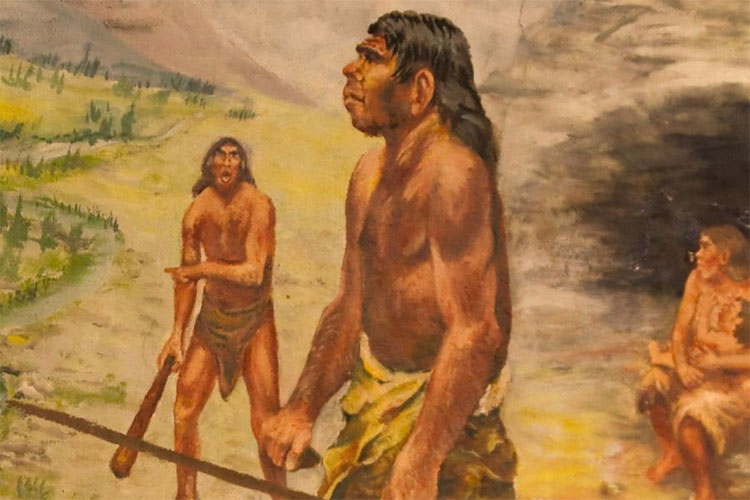Picture 1 of Reject the role of FOXP2 gene in human language evolution