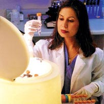Picture 6 of Reproduction does not need sex