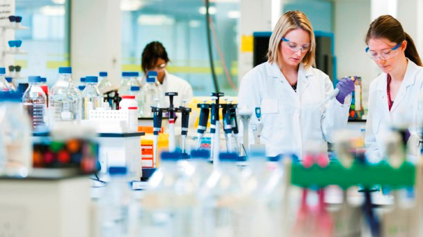 Picture 3 of 'Reprogramming' E.Coli bacteria to fight ... cancer