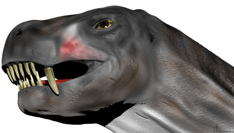 Picture 1 of Reptiles are as big as dogs, with venom before snakes appear