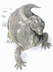 Picture 1 of Reptiles stand upright after the Fermi extinction