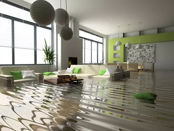 Picture 4 of Rescue tips for flooded home appliances