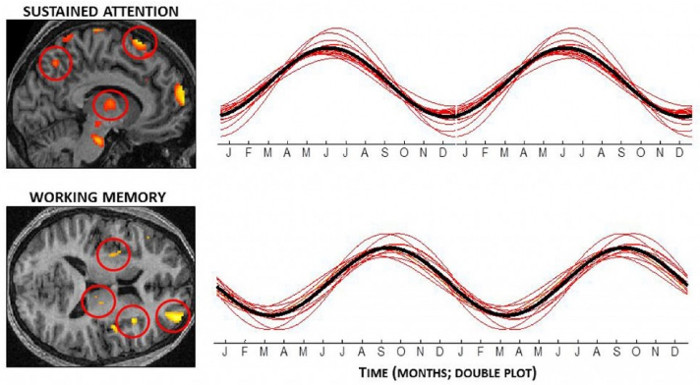 Picture 2 of Research says that in the autumn you remember to be tough and the summer is easier to focus