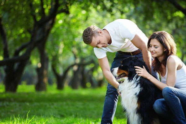 research-shows-that-the-personality-is-unpleasant-in-dog-lovers