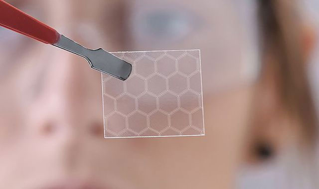 Picture 1 of Researchers have found that bacteria can create amazing metaphors