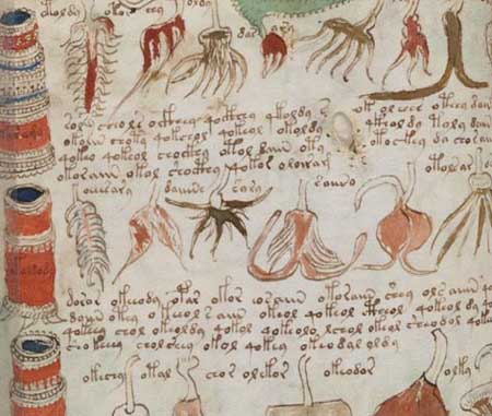 Picture 1 of Reveal a part of the world's most mysterious book