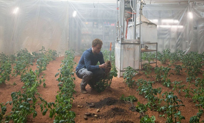 Picture 1 of Reveal the fruits and vegetables that will be grown on Mars