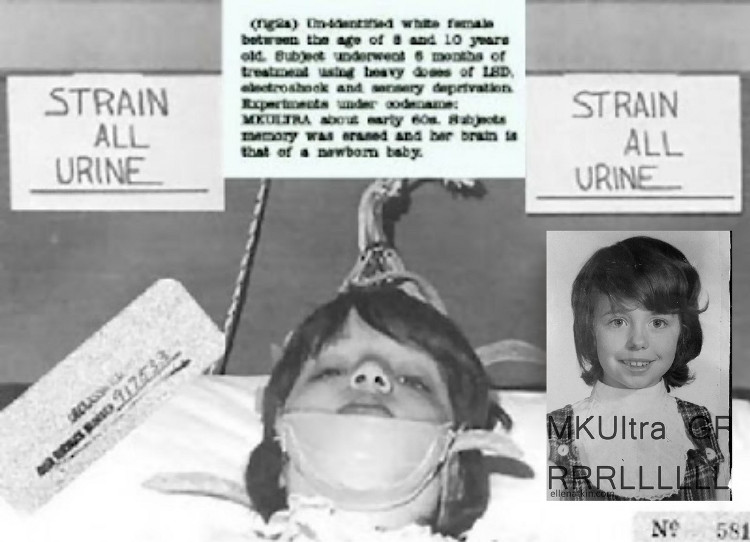 Picture 3 of Reveal the shocking declassified documents of the CIA