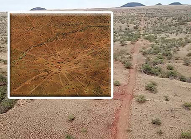 Picture 1 of Revealed the mysterious 'star-shaped map', nearly 5km long in Hawaii