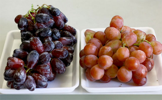 Picture 2 of Revealing Chinese fruit