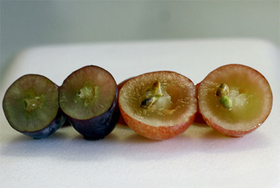 Picture 3 of Revealing Chinese fruit