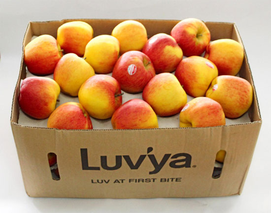 Picture 4 of Revealing Chinese fruit