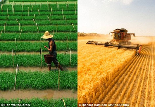 Picture 1 of Revealing Eastern-Western cultural differences