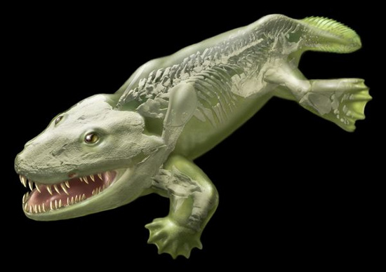 Picture 1 of Revealing the first animal species to live on the ground