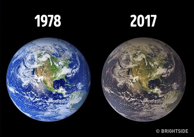 Picture 9 of Revealing the mysteries of the Earth makes everyone 'startled'
