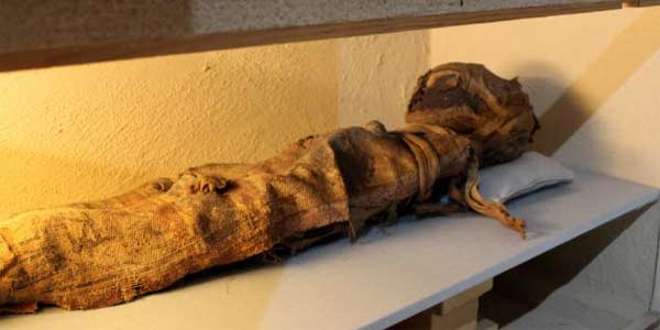 Picture 1 of Revealing the mysterious mummy of men in female attire