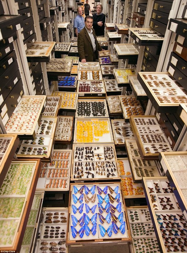 Picture 1 of Revealing the secret of the place to store the whole world