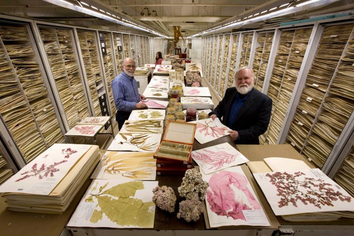 Picture 6 of Revealing the secret of the place to store the whole world